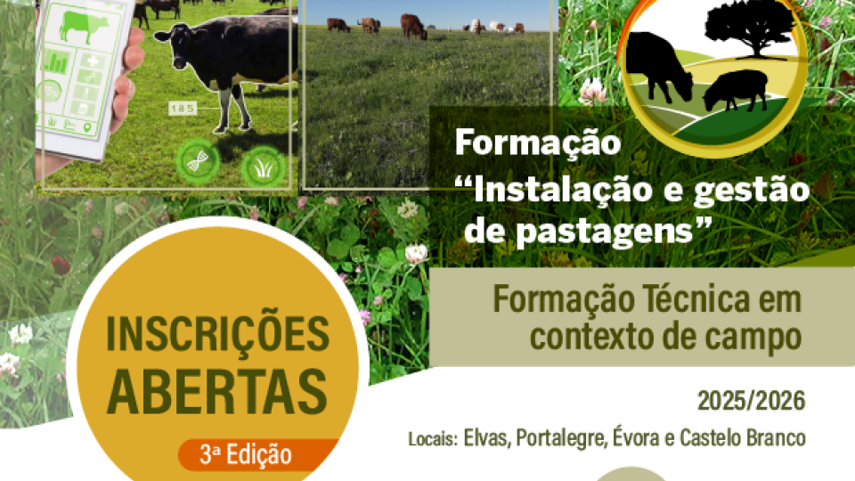 3ª Edição da Formação 