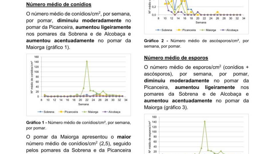29ª Informação do GT Estenfiliose 2025