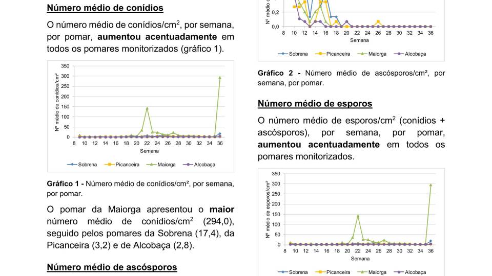 32ª Informação do GT Estenfiliose 2025