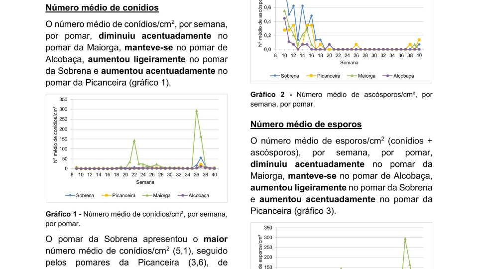 36ª Informação do GT Estenfiliose 2025