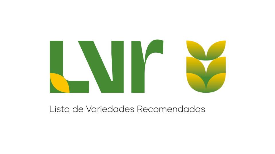 A LVR do Trigo Mole para a campanha agrícola de 2025/2026 já se encontra disponível