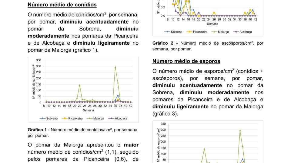 38ª Informação do GT Estenfiliose 2025