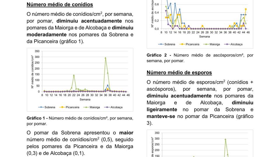 41ª Informação do GT Estenfiliose 2025