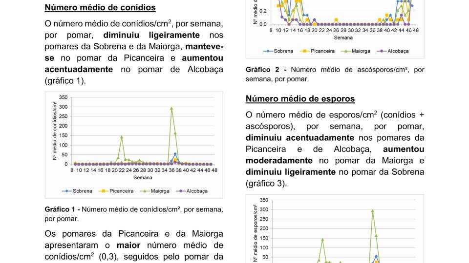 43ª Informação do GT Estenfiliose 2025