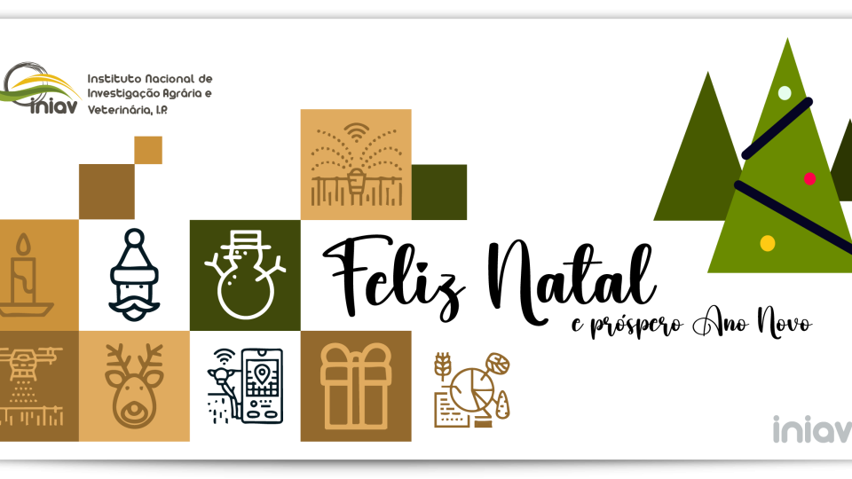 O INIAV deseja um Feliz Natal e Bom Ano 2026