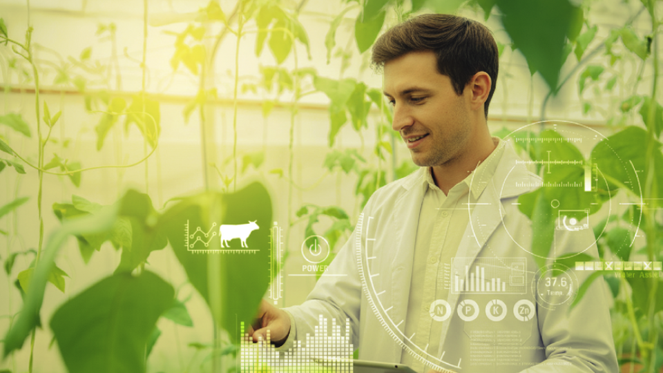 Reunião Anual da rede AGRO e do Colégio Food Farming and Forestry (F3)