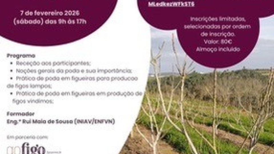 Formação de Poda de Figueiras | 7 de fevereiro de 2026