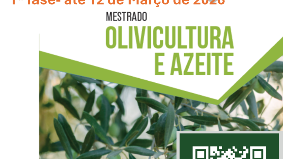 Mestrado em Olivicultura e Azeite da Universidade de Évora