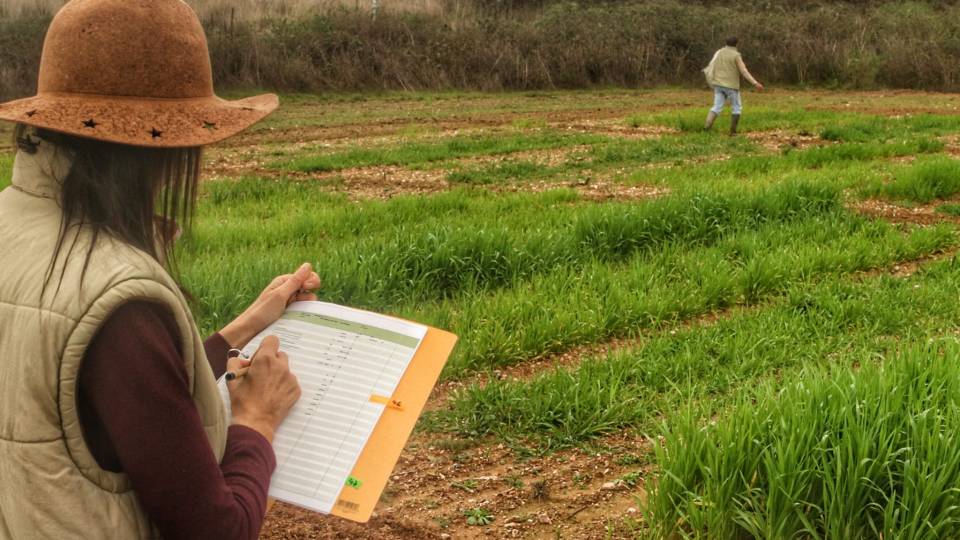 Investigadores do INIAV-Elvas acompanham ensaios do projeto SOS PYGARGUS