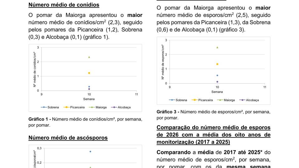 4ª Informação do GT Estenfiliose 2026