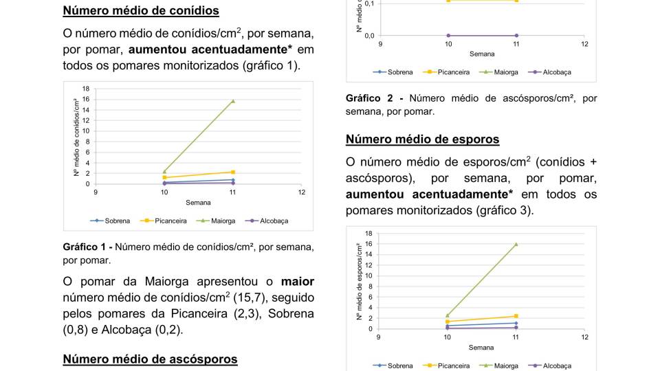 5ª Informação do GT Estenfiliose 2026