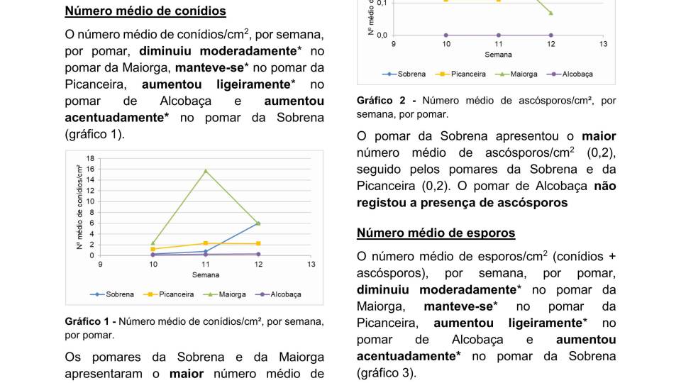 6ª Informação do GT Estenfiliose 2026