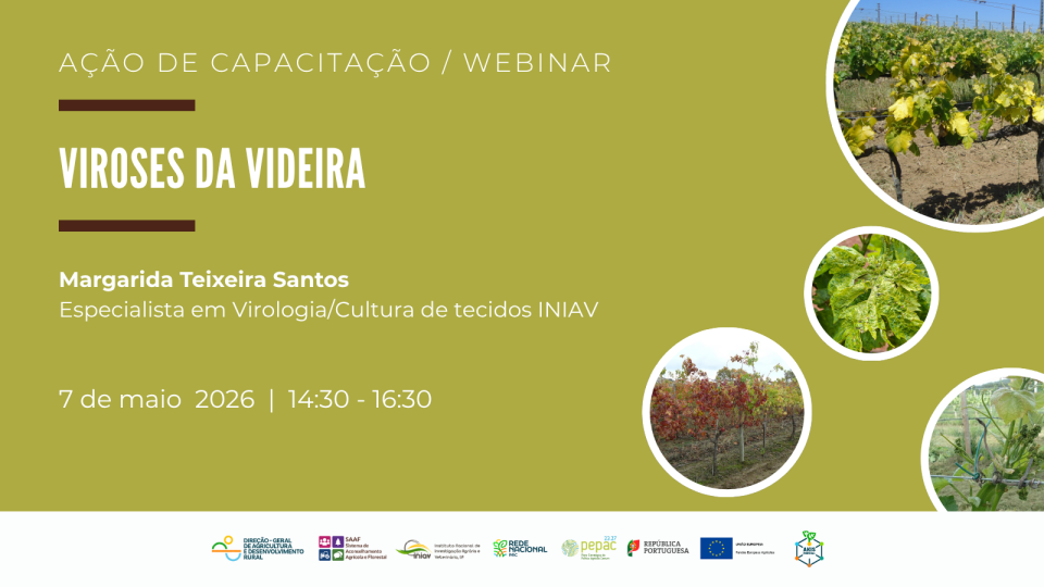 Webinar/Ação de Capacitação: Viroses da Videira – 7 maio