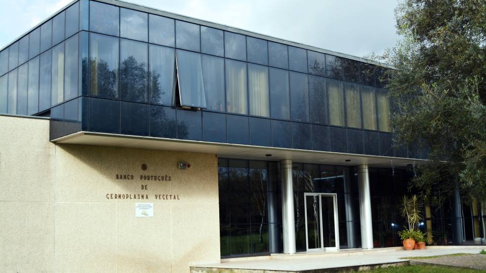 BPGV no Jornal de Negócios - Sustentabilidade