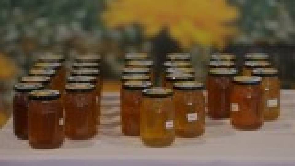 Colóquio “Mais do que Mel – As Abelhas como Pilar da Economia Rural e da Biodiversidade